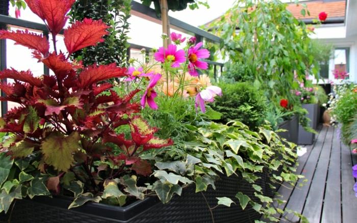 μπαλκόνι σχεδιασμός μπαλκόνι φυτά ιδέες κήπου