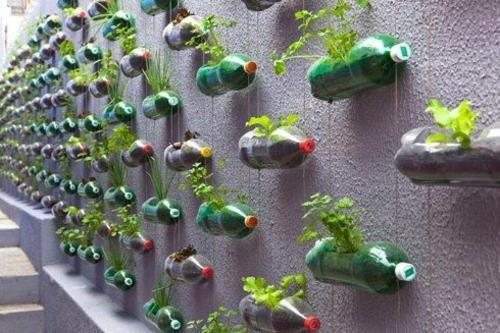 αίθρια φυτών γλάστρα πρακτικά πλαστικά μπουκάλια