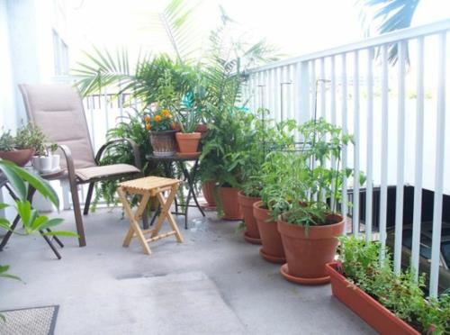φυτά μπαλκονιού γλάστρα πρακτικές καρέκλες