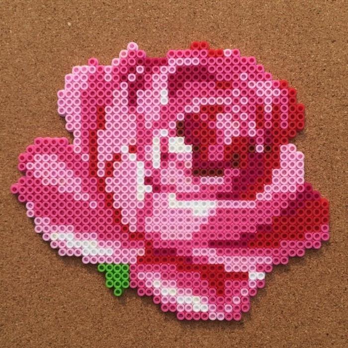 tinker με perler χάντρες πρότυπο τριαντάφυλλο προχωρημένο