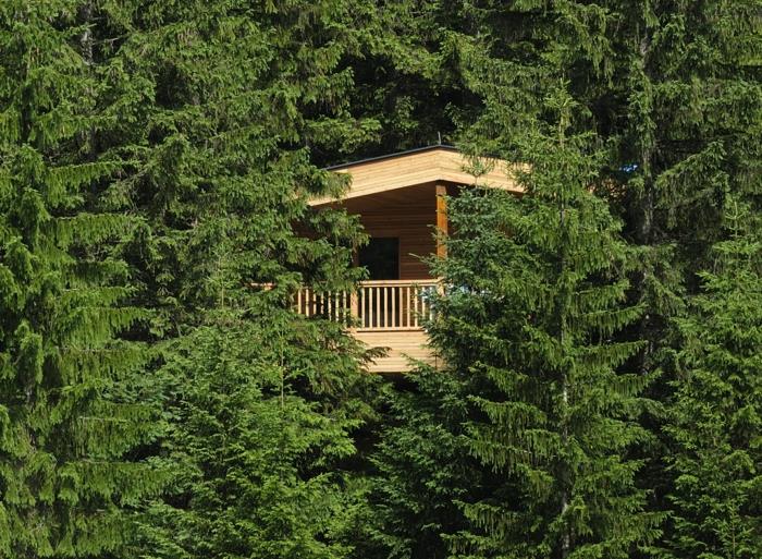 Treehouse Kranzbach