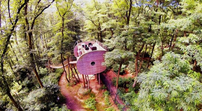 treehouse δέντρο πανδοχείο εμπειρία