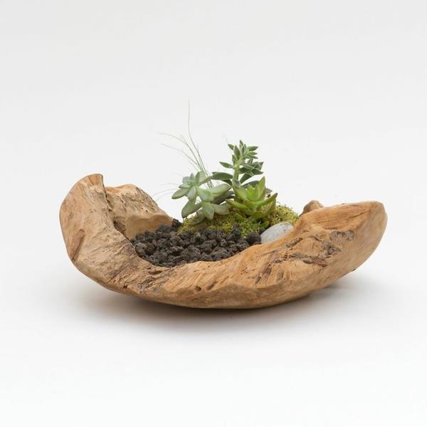 διακόσμηση κορμού δέντρων diy έργα planter driftwood