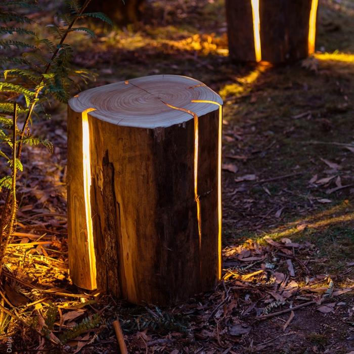 έπιπλα κορμού δέντρων φώτα σχεδιαστών Duncan Meerding