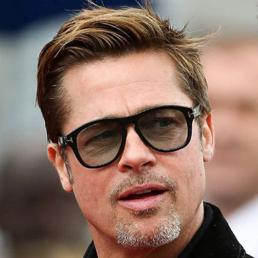 brad pitt keçi sakalı