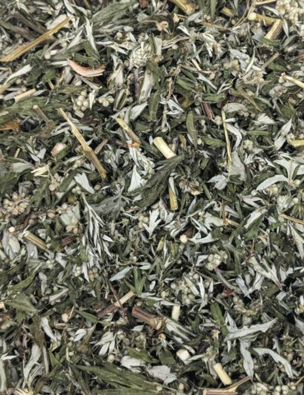 Το Mugwort βράζει αποξηραμένο τσάι