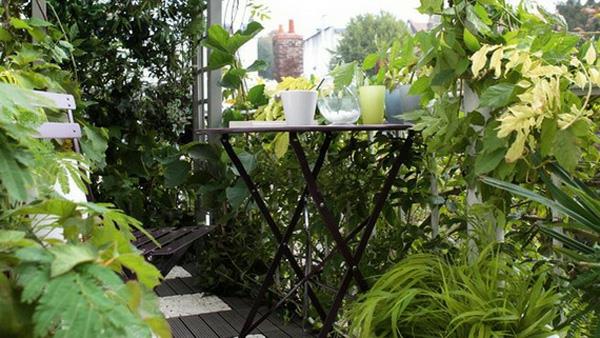 άνετο μπαλκόνι σχεδιάζει ιδέες κήπος κήπος πράσινος