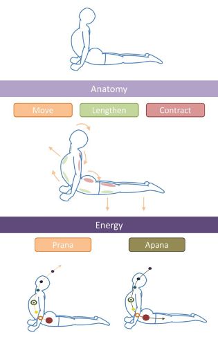 Bhujangasana jogos žingsniai su vaizdais
