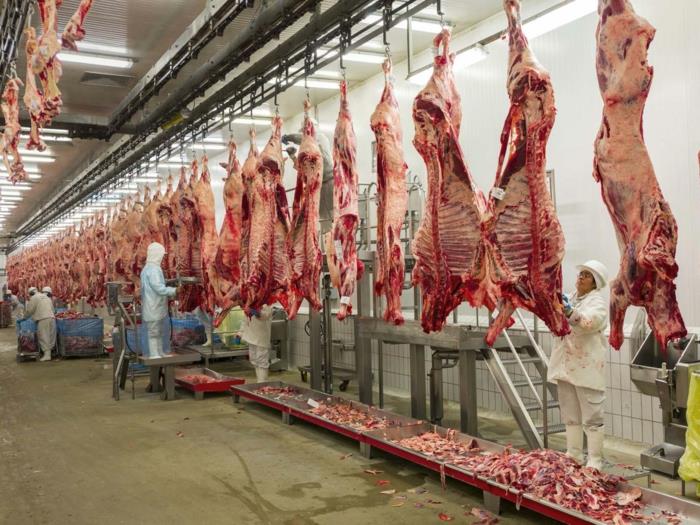 βιολογικό κρέας φρέσκο ​​εργοστάσιο καλλιέργειας ανθυγιεινό