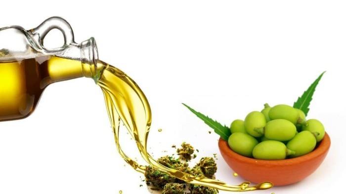 αφίδες, φυσικά, baekempfen με φυτό άνθη πορτοκαλιάς neem oil