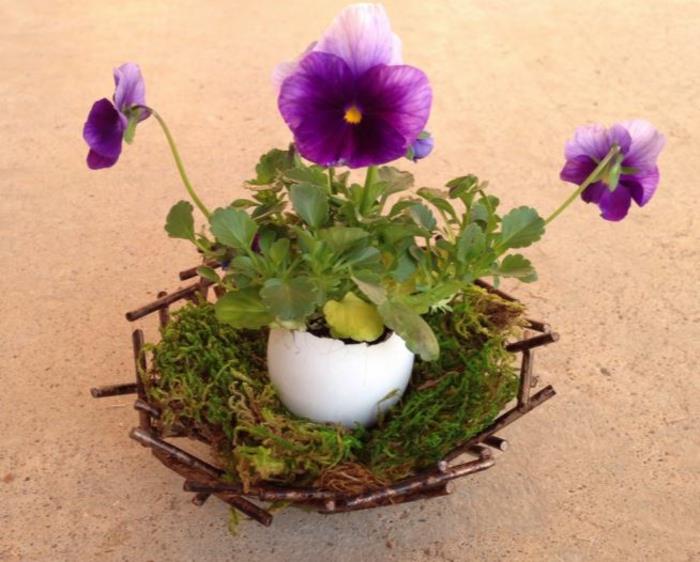 διακόσμηση τραπεζιού begonia violetta