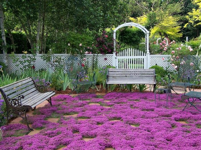 εδαφοκάλυψη κήπος σχεδιασμός κήπος ομορφύνει πάγκους κήπων φράχτη κήπου