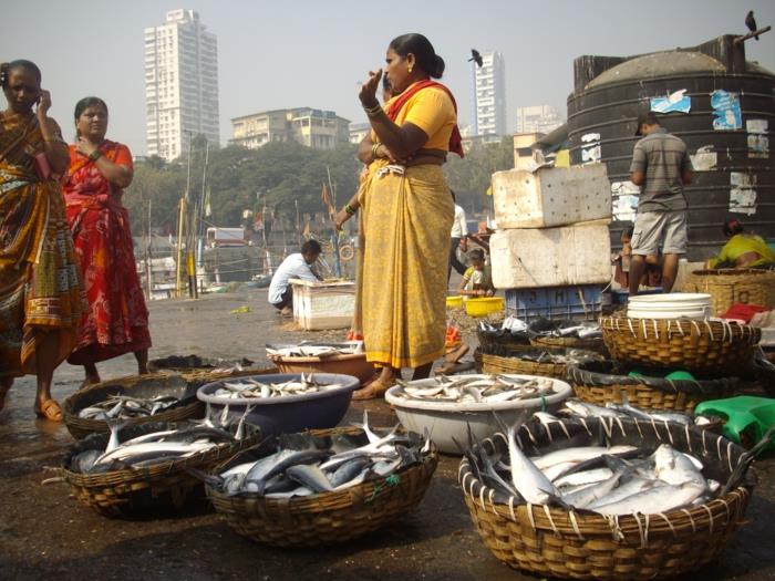 βομβάη ινδική αγορά αλιείας Βομβάη