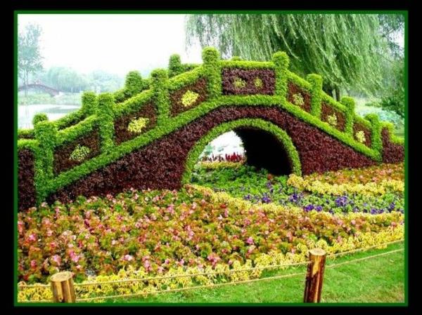 φιγούρες γέφυρα πυξάρι topiary φυτά κήπου