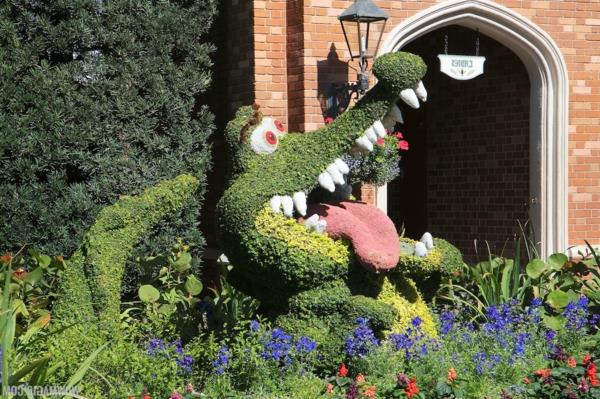 Πυξάρι topiary φιγούρες κήπου κροκόδειλος