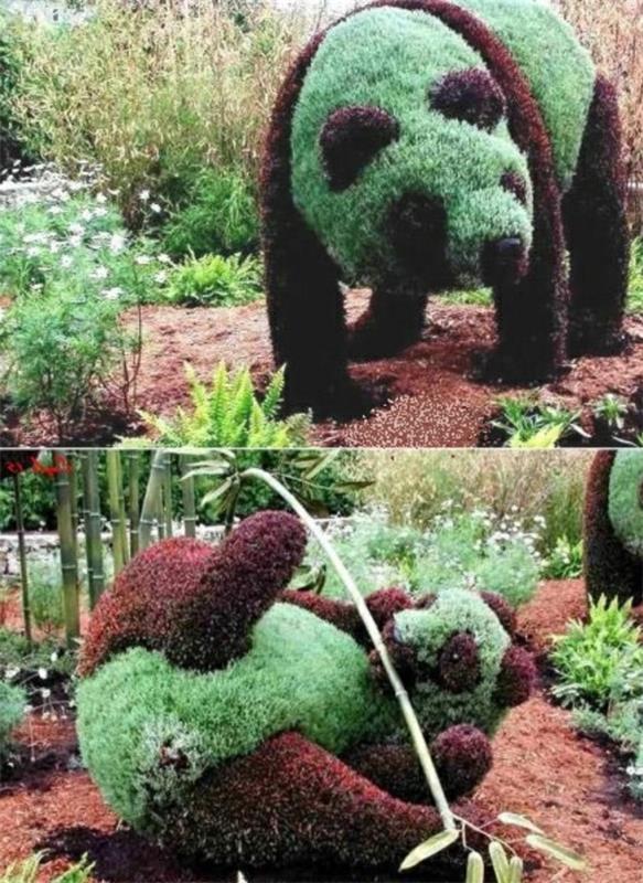 πυξάρι topiary κήπος φιγούρες ζώα panda
