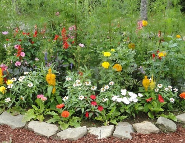 πολύχρωμα λουλούδια κήπου σάπια φτηνές ιδέες κήπου