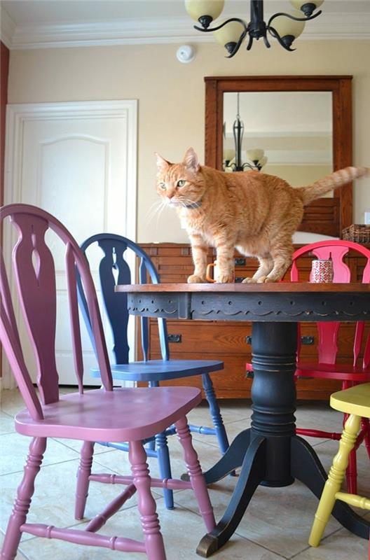 πολύχρωμες χρωματιστές καρέκλες κουζίνας στρογγυλή τραπεζαρία γάτα