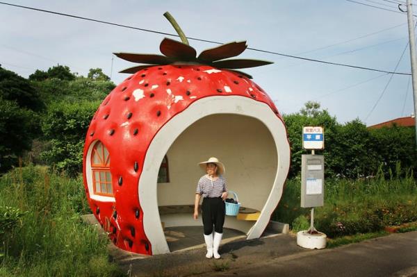 στάση λεωφορείου ιαπωνική φράουλα