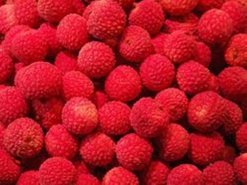 Hamilelikte Litchi 1