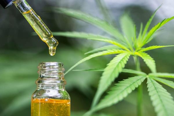 cbd λάδι οφέλη κανναβιδιόλης