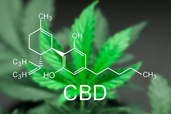 cbd αποτέλεσμα κατά του πόνου