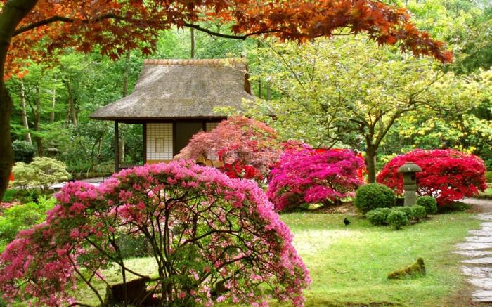 κινεζικός κήπος ανθισμένα φυτά κήπος υπόστεγο περίπτερο δέντρα πάρκο