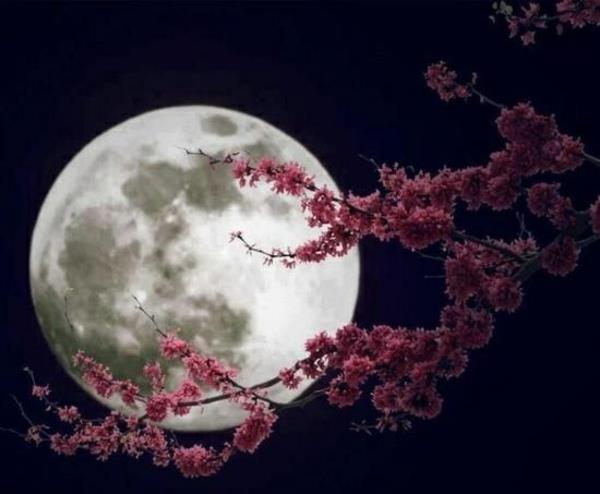 κινεζικές σεληνιακές ημερολογιακές φάσεις σελήνης