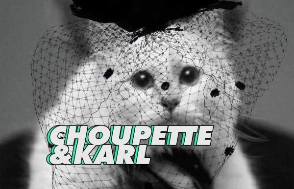 choupette cat by karl lagerfeld τάσεις της μόδας