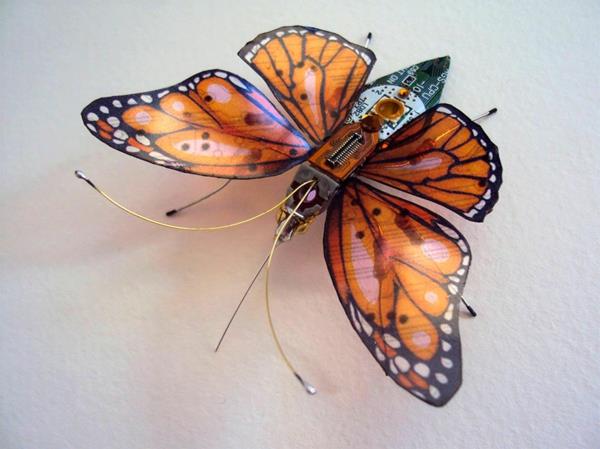 ανταλλακτικά υπολογιστών τέχνη πεταλούδα εντόμων