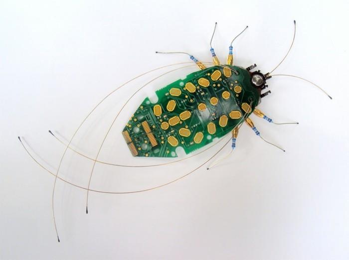 ανταλλακτικά υπολογιστών ανακύκλωση σκαθάρια έντομα φιλική προς το περιβάλλον τέχνη