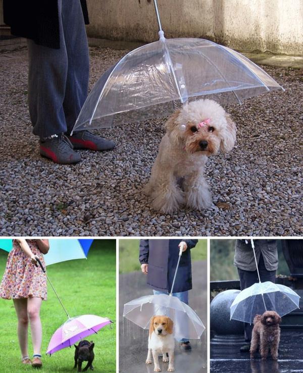 Ιδέες δώρων για ομπρέλα σκύλων