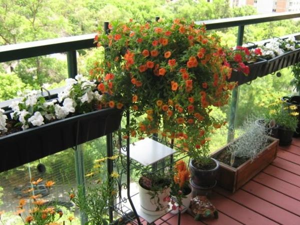 δροσερό μπαλκόνι ιδέες φύτευσης κουτί λουλούδια πορτοκαλί