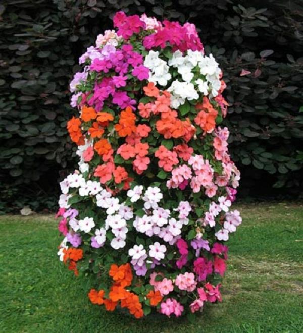 δροσεροί πύργοι λουλουδιών για τον κάθετο σχεδιασμό του κήπου