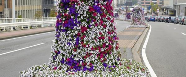 δροσερό λουλούδια πύργους ομορφιά στην άκρη του δρόμου