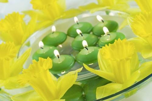 δροσερές ιδέες κεριών καλοκαιρινές πράσινες κίτρινες ασφόδελες φρέσκες