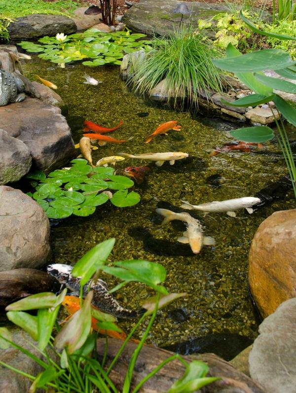 δροσερό νερό κήπο ιδέες μπαστούνι ψάρι πράσινο κόκκινο