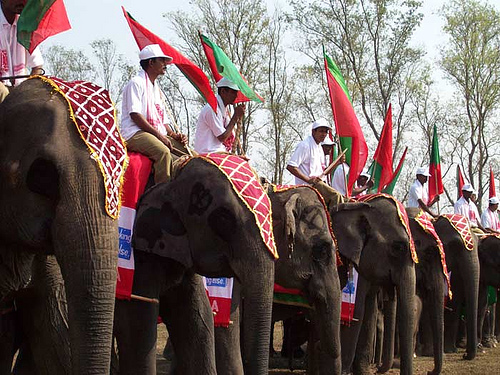 Rongkerio festivaliai