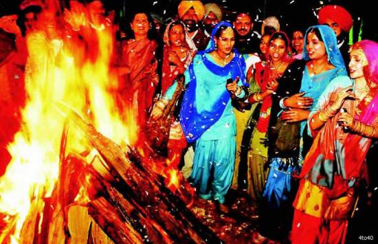 haryana Lohri