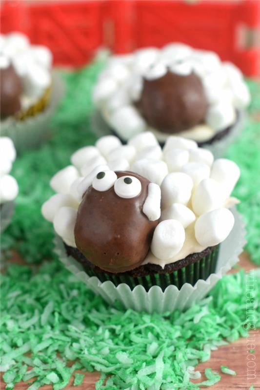 Ιδέες για διακόσμηση cupcake καλοκαιρινό πάρτι σοκολάτα προβάτου