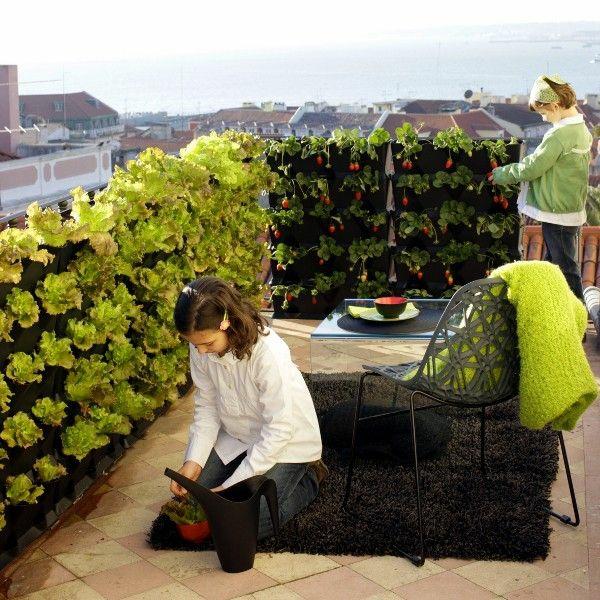Σχεδιάστε τη βεράντα του τελευταίου ορόφου. Διακοσμήστε τον κήπο με βότανα στο μπαλκόνι