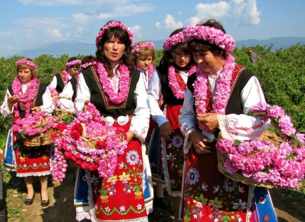 Δαμασκηνό τριαντάφυλλο τριαντάφυλλο φεστιβάλ Βουλγαρία