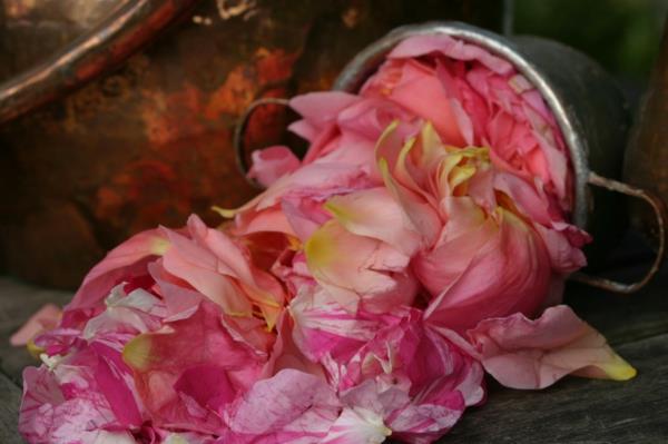 damask rose πολύτιμα καλλυντικά από ροδέλαιο