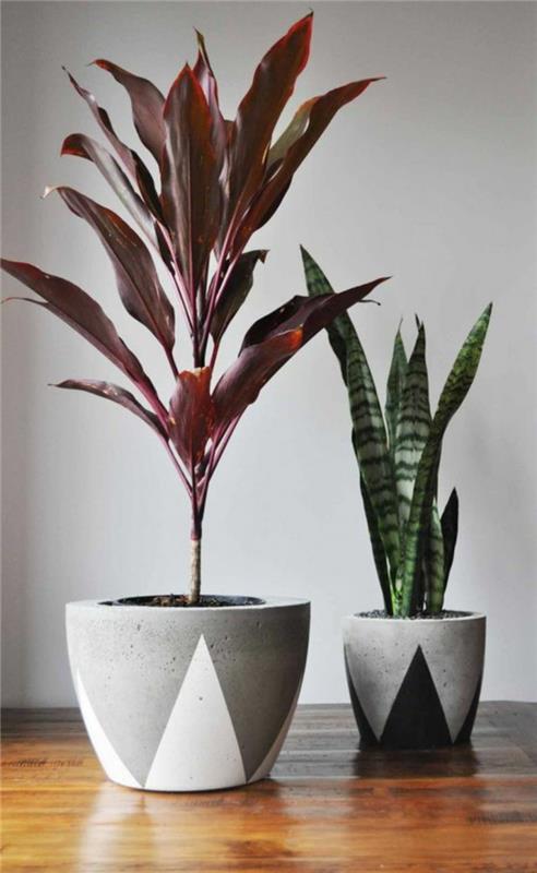 Deco tips για φυτά εσωτερικού χώρου που ξαναφυτεύουν τη γλάστρα σωστά