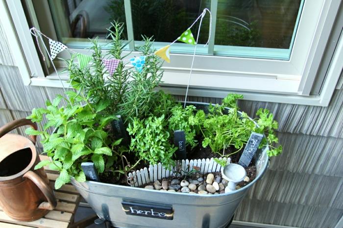 DIY ιδέες διακόσμησης μίνι κήπος με βότανα