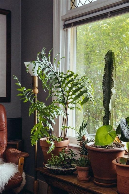 Ιδέες Deco φυτά περβάζι παραθύρου ρουστίκ δερμάτινη πολυθρόνα