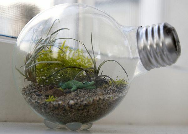 ντεκο λαμπες terrarium