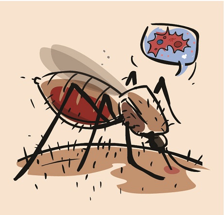 Dengės karštligės simptomai