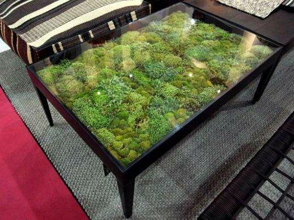 σχεδιασμός τραπέζι καφέ terrarium κομψό εξαιρετικά