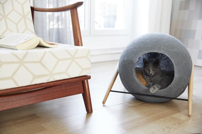 σχεδιασμός επίπλων γάτας με οικιακή γάτα